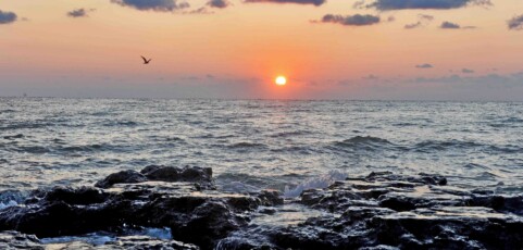 7 lucruri pe care probabil nu le stiai despre Marea Neagra